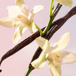 Alternative view of Yodeyma Parfum Lido
